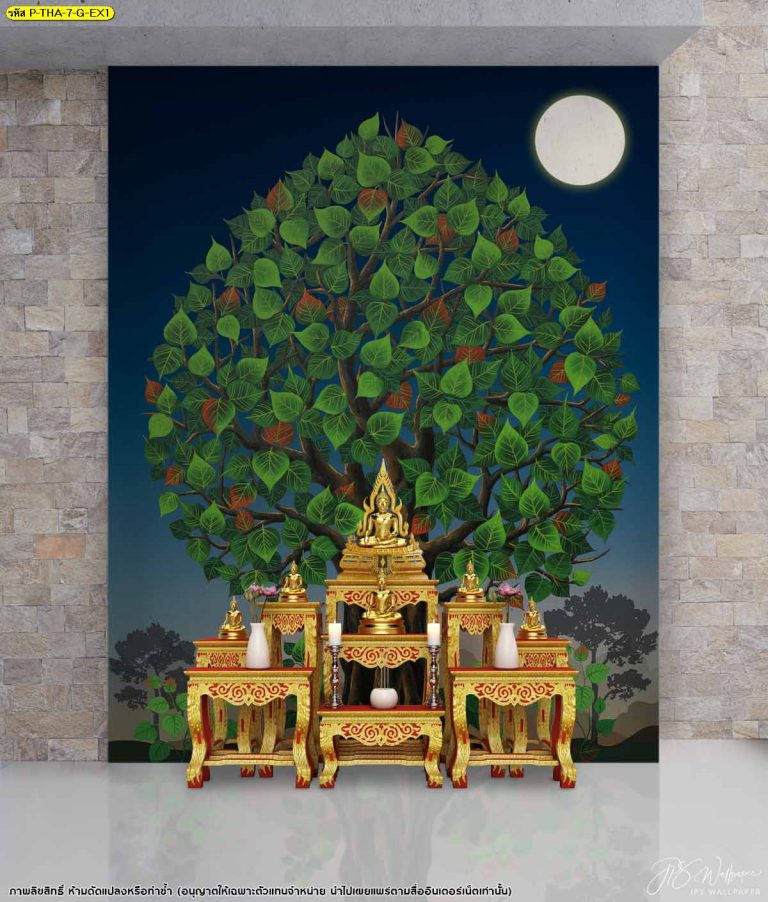 My Image 74