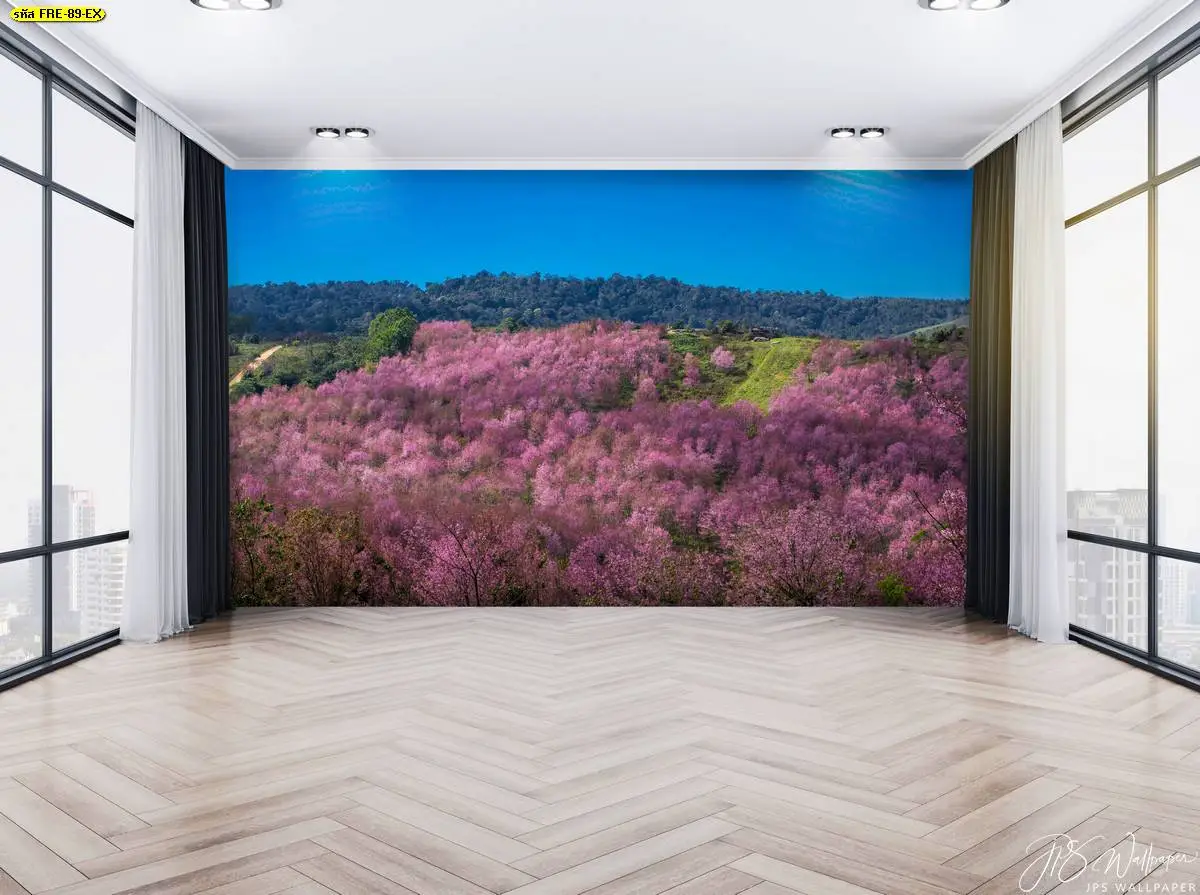 รูปภาพวิวทิวทัศน์ ภาพธรรมชาติ สีสันสดใส เหมือนอยู่กลางธรรมชาติ